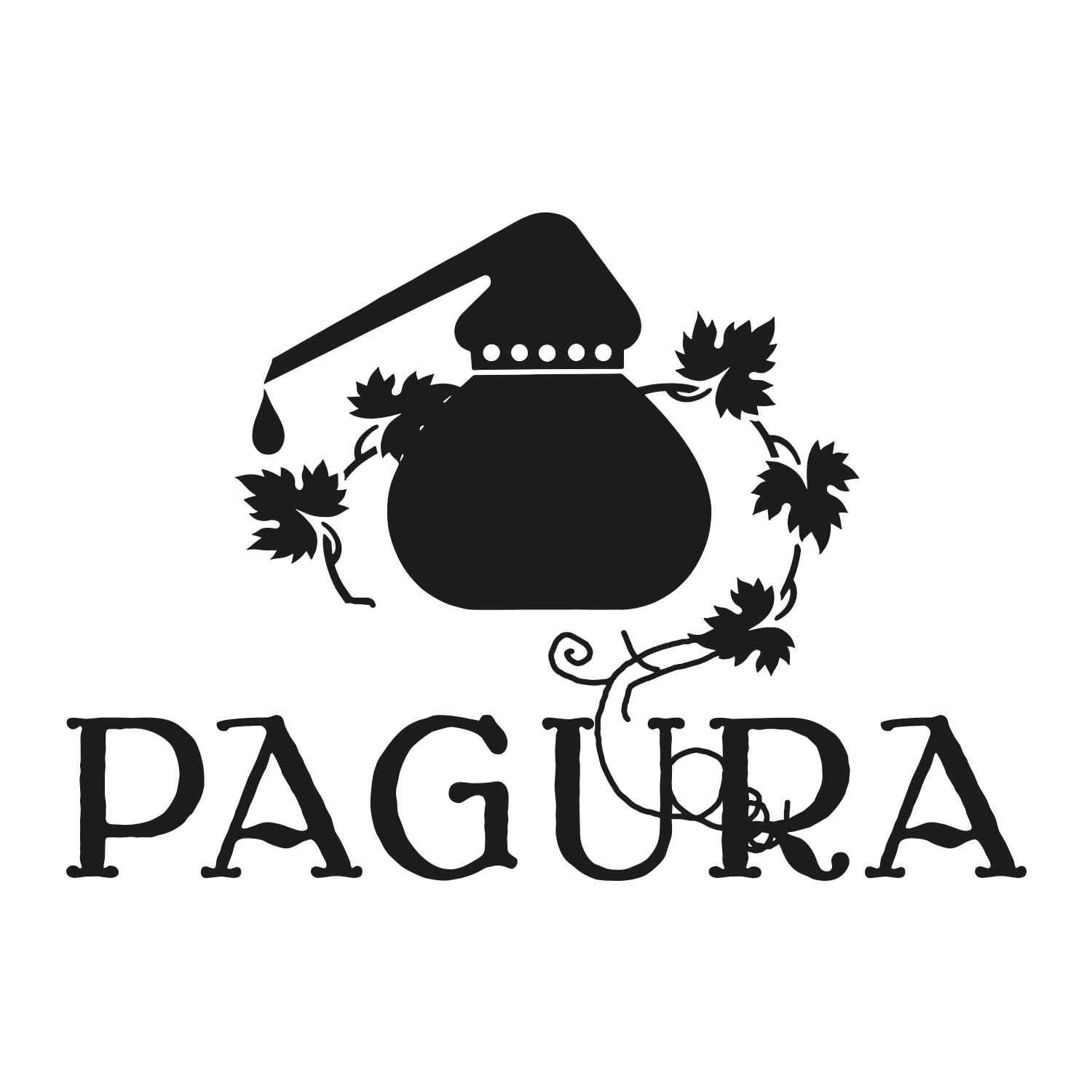 Pagura Logo